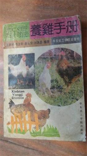 新编养鸡手册