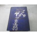 清代小8开精装烫金压花三面刷金 外文原版每页带版画制作 1892版 品佳468页