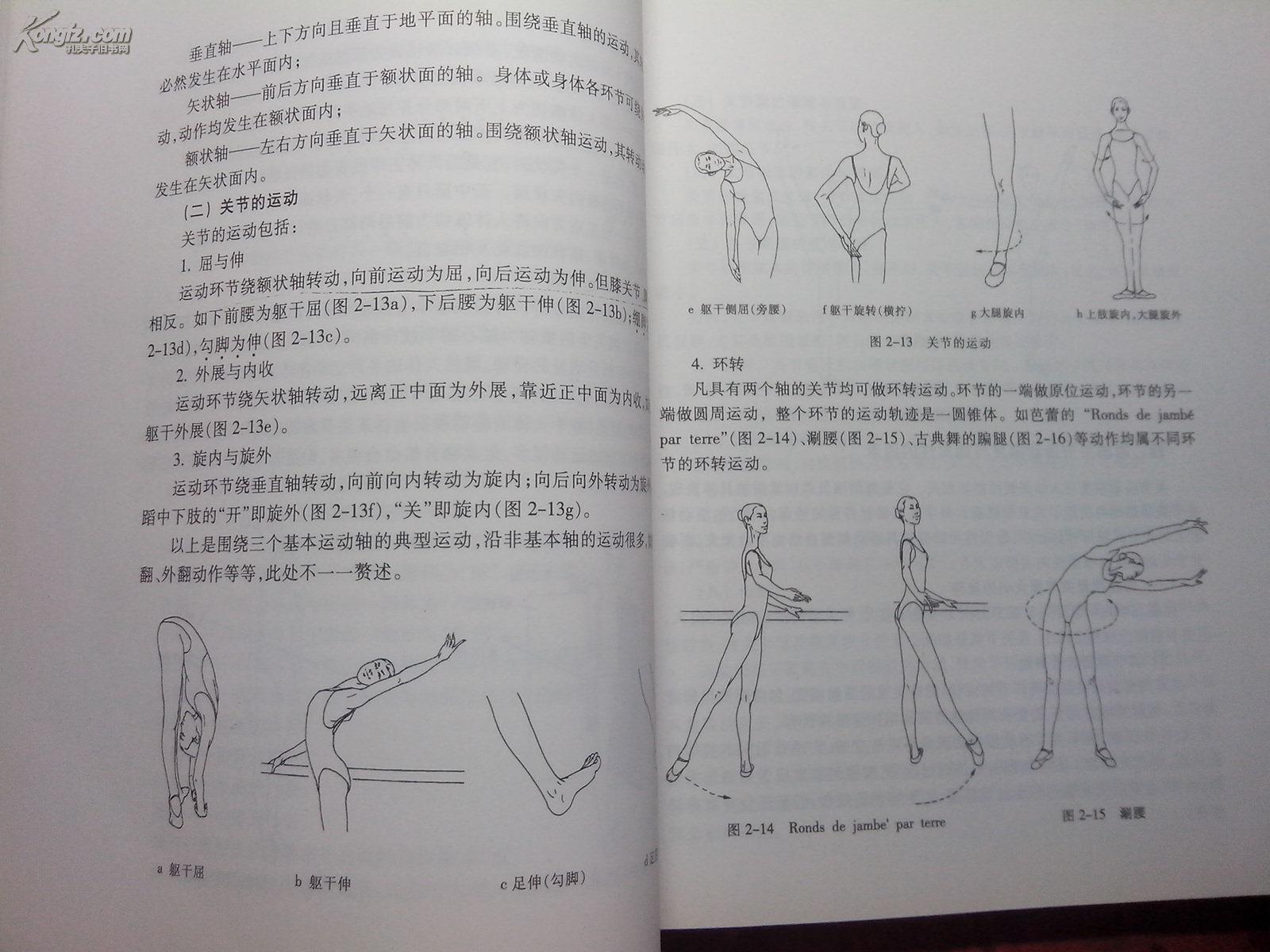 舞蹈解剖学 高云著 北京舞蹈学院十五规划教材 正版