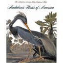 Audubon's Birds of America: The Audubon Society Baby Elephant Folio