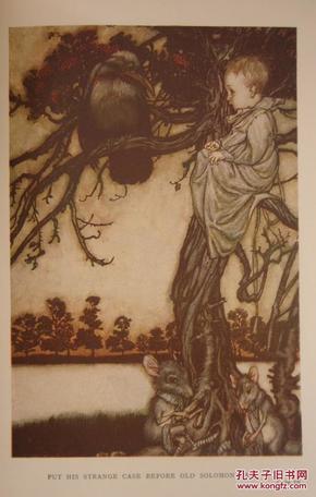 1910年James Matthew Barrie- Peter Pan in Kensington Gardens《小飞侠彼得•潘在肯辛顿花园》儿童版 插画之王Arthur Rackham绝美彩图