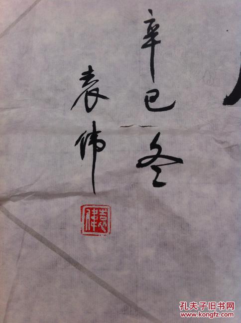 袁伟书法(将军书法家)