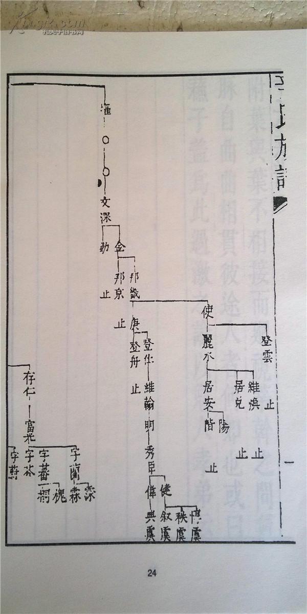家谱----辛氏族谱 宽福公支 16开 758页 天启二年(1606年) 复印本