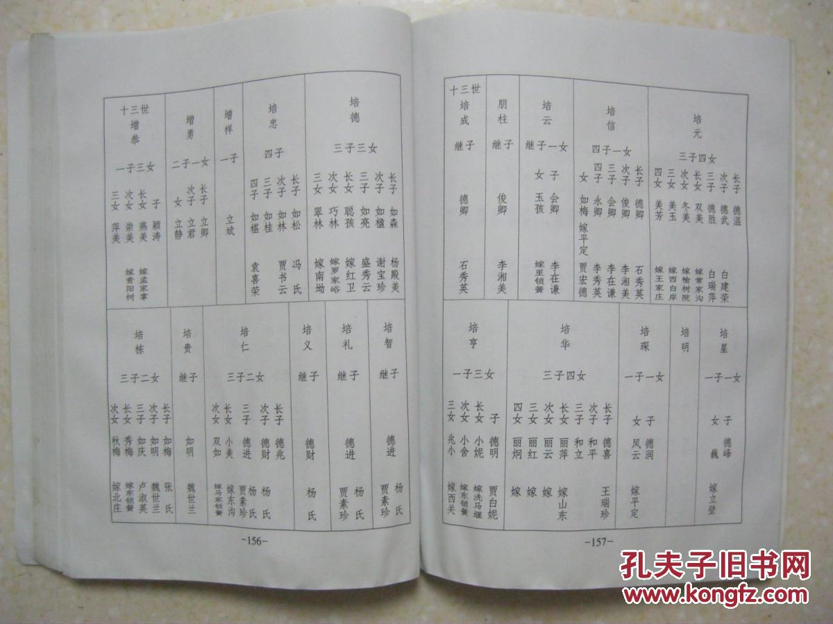 魏氏族谱(平定县魏家庄窝村,周文王裔孙——晋卿.魏氏.