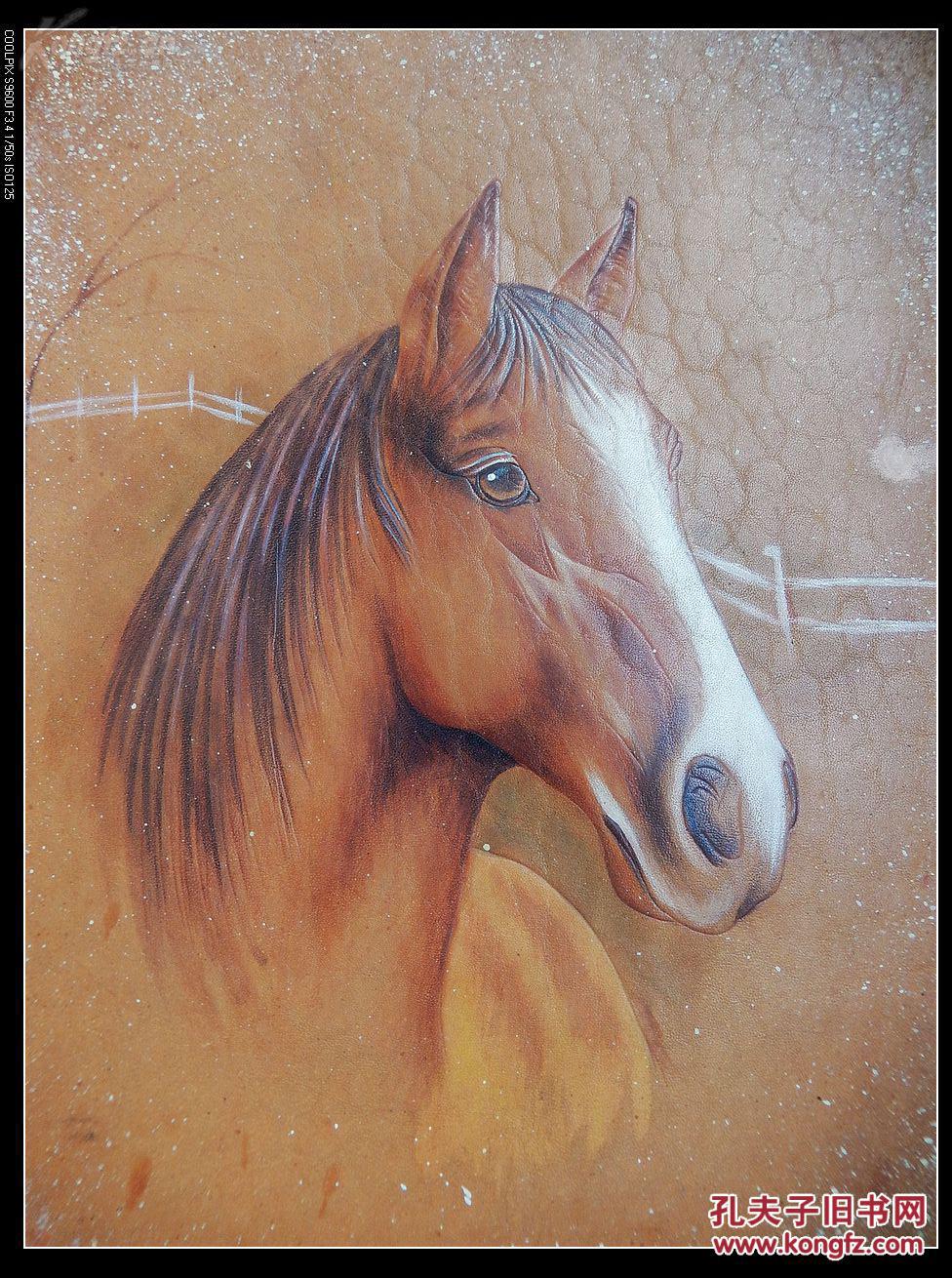 皮画 马头【100】