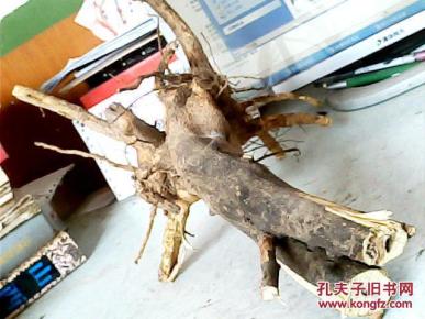 花椒树干根1棵;50厘米*20厘米*6厘米重600克{可入药也可根雕}