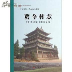 贾令村人口_绯村剑心真人