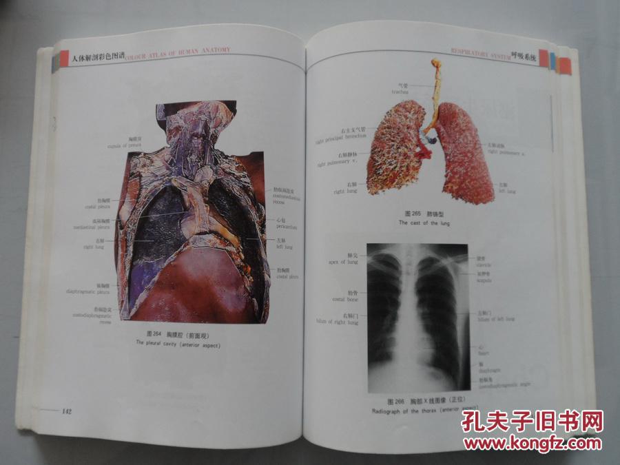 16开厚册医学书《人体解剖彩色图谱》 拍品编号:17643312