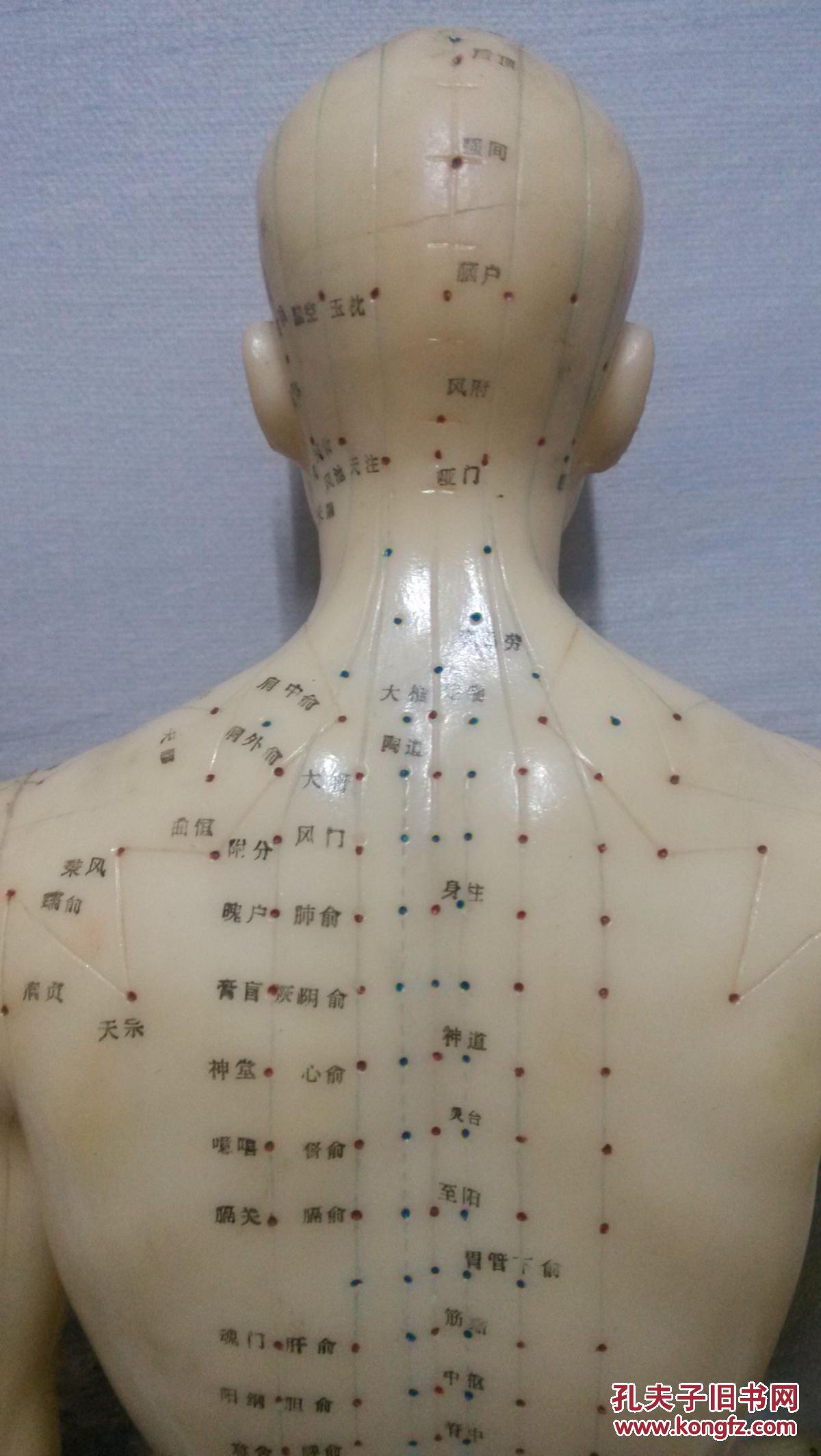 人体穴位模型 针灸模型经络模型男 软pvc (老旧)