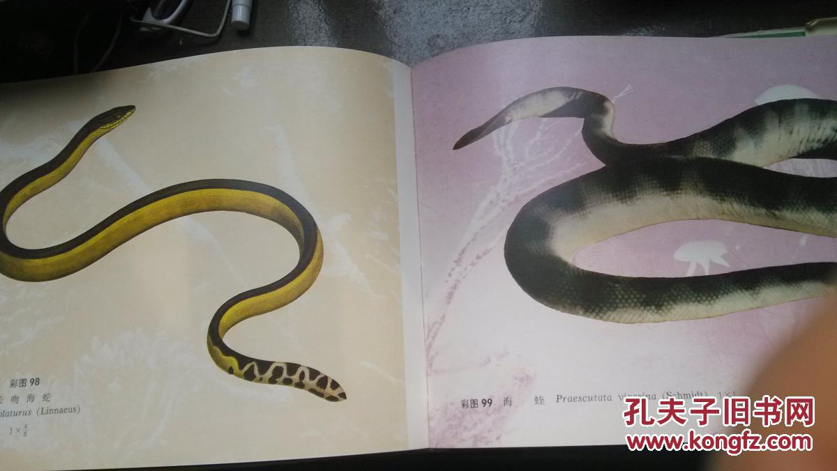 中国蛇类图谱