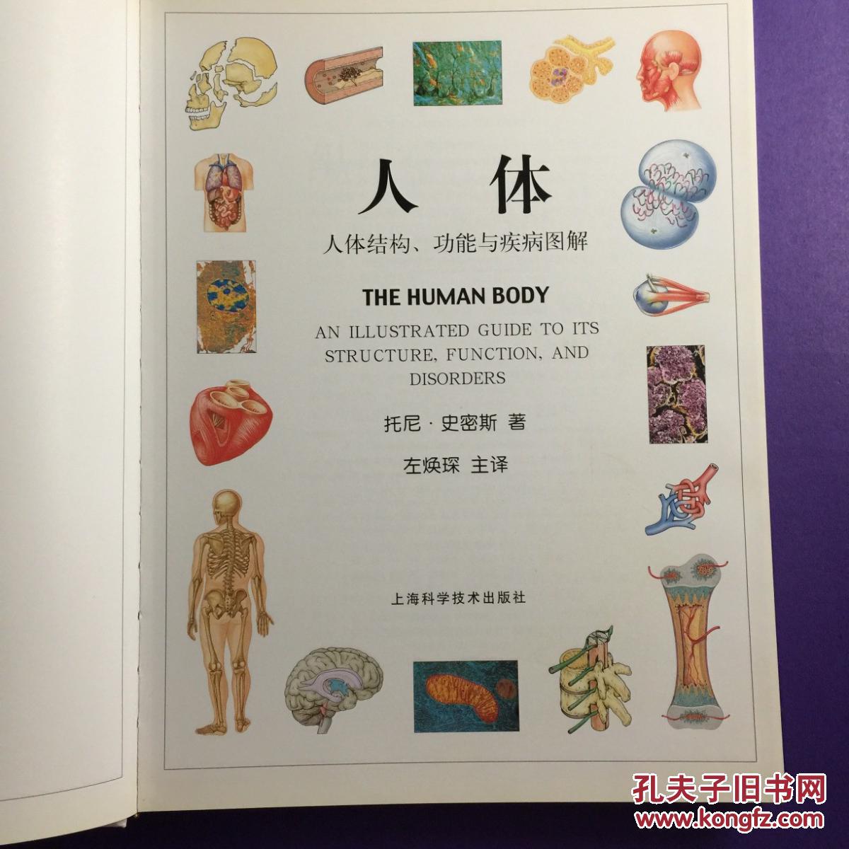 人体:人体结构,功能与疾病图解 dk 精装
