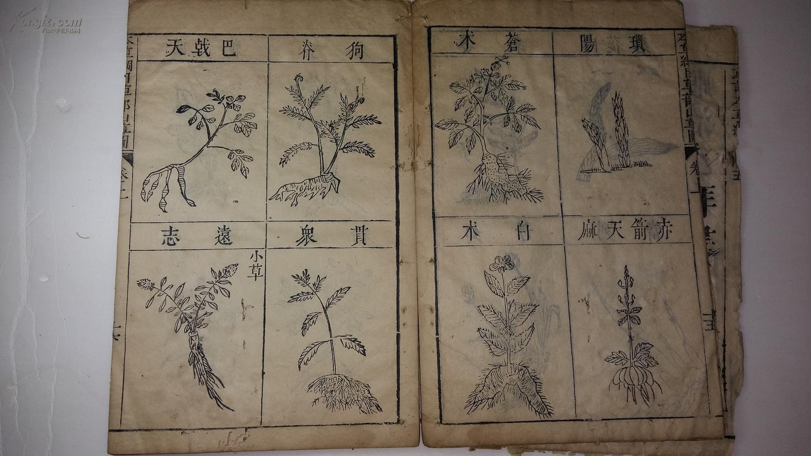 《本草纲目》顺治44册全