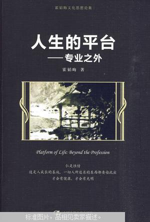 人生的平台 : 专业之外