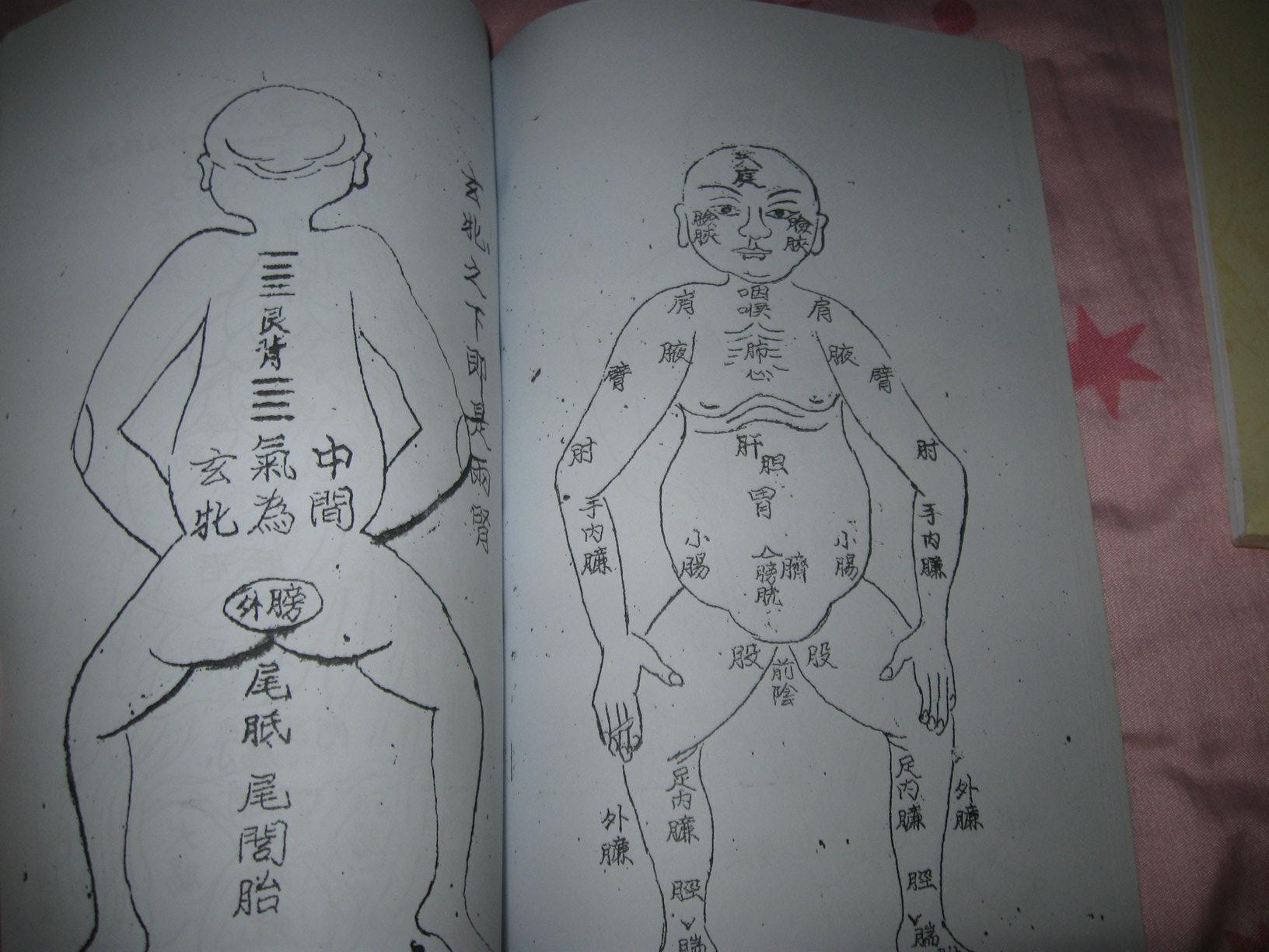 稀缺复制本《九序摘言内景图》(少见书籍加封面放大版,研究人体有重要