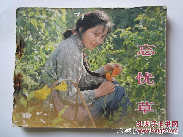 忘忧草 电影连环画册