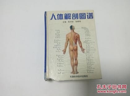 人体解剖图谱