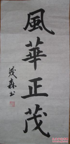 手书真迹书法:袁茂森楷书《风华正茂》