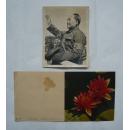 1963年中国图片社出版贺卡一张（8.2*16.5厘米）