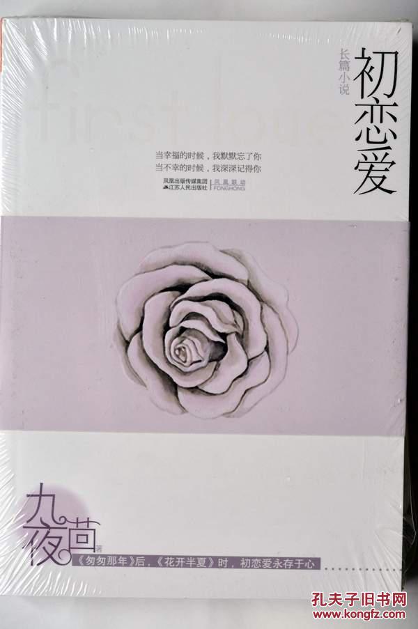 初恋爱(九夜茴著)