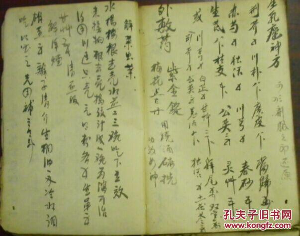 脓,收口,总论服药,复论五善七恶救援,将息/已上十法,乃治痈疽发背之纲