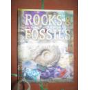 【23-4ROCKS&FOSILS岩石和化石