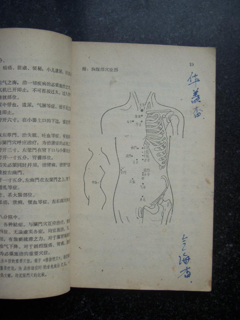 脏腑图点穴法【1962年1版1印】_王雅儒口述 王振国笔录_孔夫子旧书网