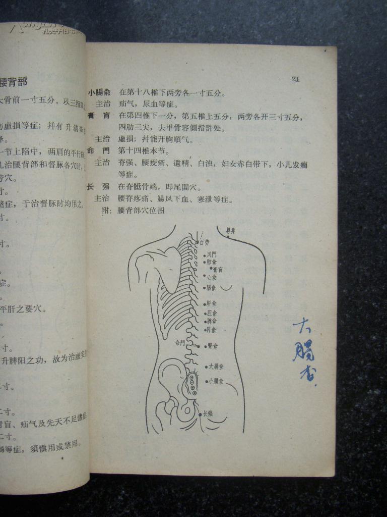 脏腑图点穴法【1962年1版1印】_王雅儒口述 王振国笔录_孔夫子旧书网