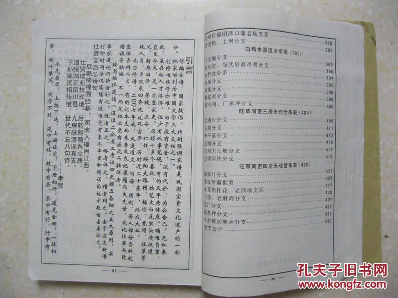 周氏家谱(下册.