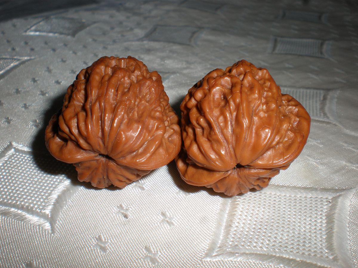 文玩野生公子帽老核桃一对包浆好