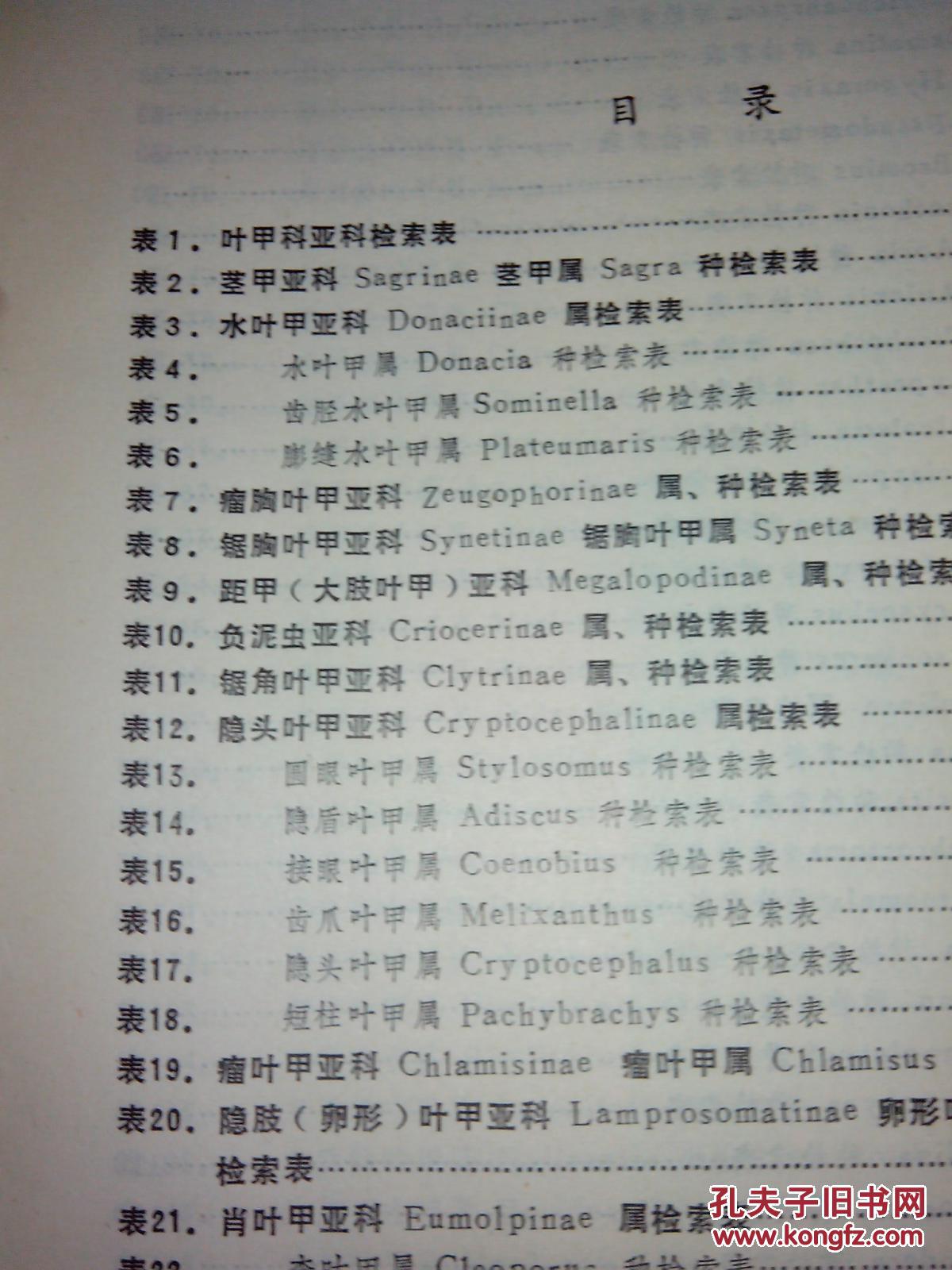 中国叶甲科检索表