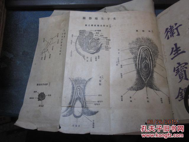 78稀见早期性学教育文献民国丁巳年仲秋进化社版万选青编男女婚姻卫生