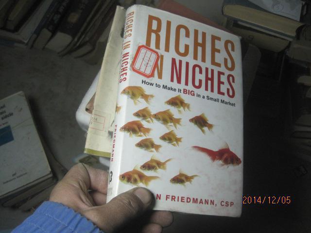 Riches in Niches How to Make BIG in a small Market 精4844