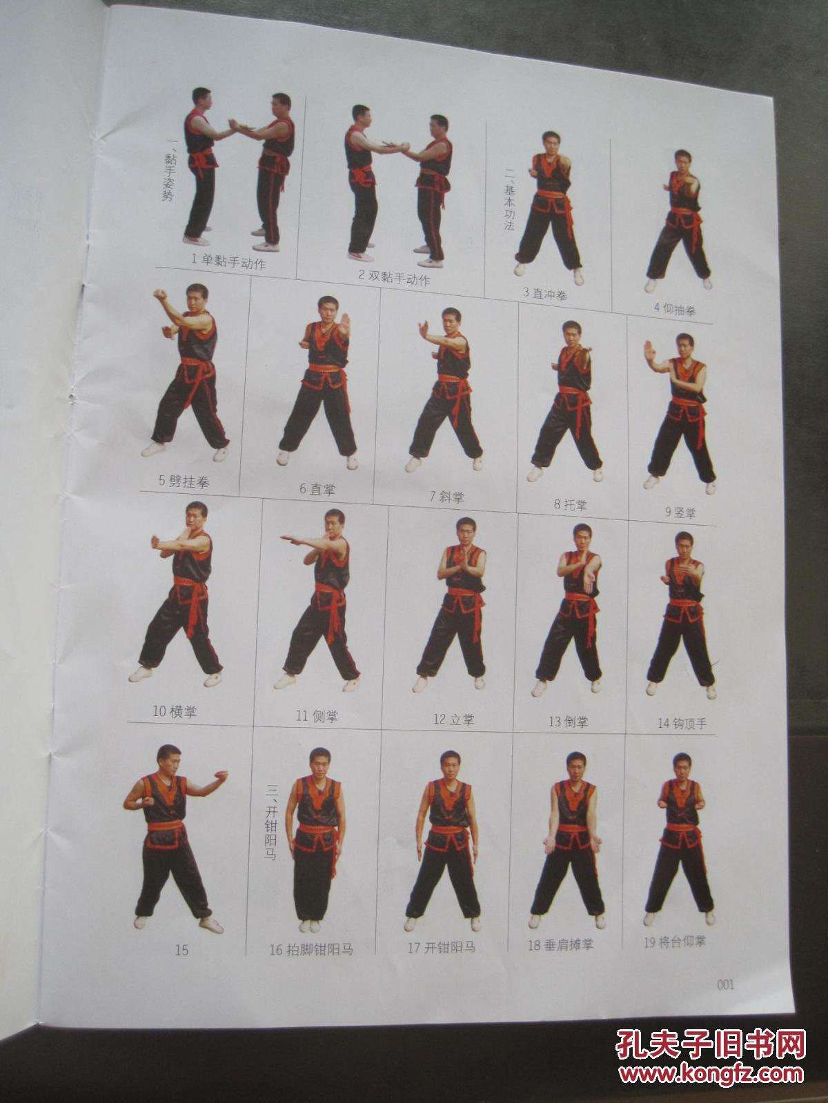 咏春拳十二式散手图片
