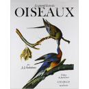 Grand Livre Des Oiseaux: Par Jean-Jacques Audubon (法语)