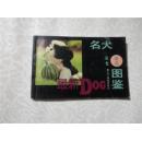 名犬精选彩色图鉴