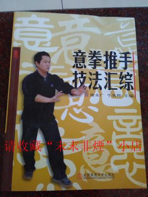 正版原版 意拳推手技法汇综 谢永广、牛英群 2011年 185页 9品