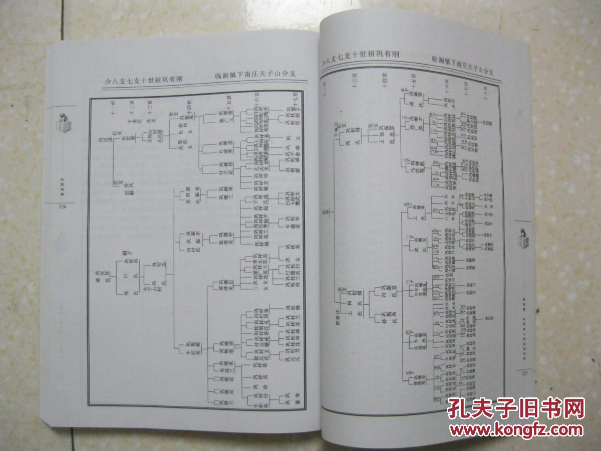巩氏族谱(居住鲁中南地区的泰安,济宁,枣庄,临沂4个
