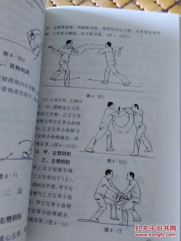 福建南拳丛书 又称福建少林狗拳 福建版_王培锟,张大勇_孔夫子旧书网