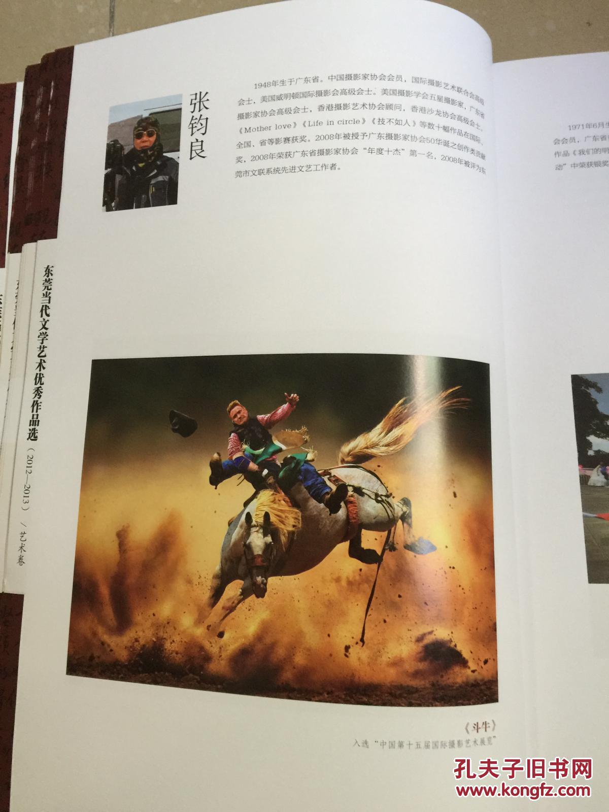 东莞当代文学艺术优秀作品选(2012-2013) 原价480元