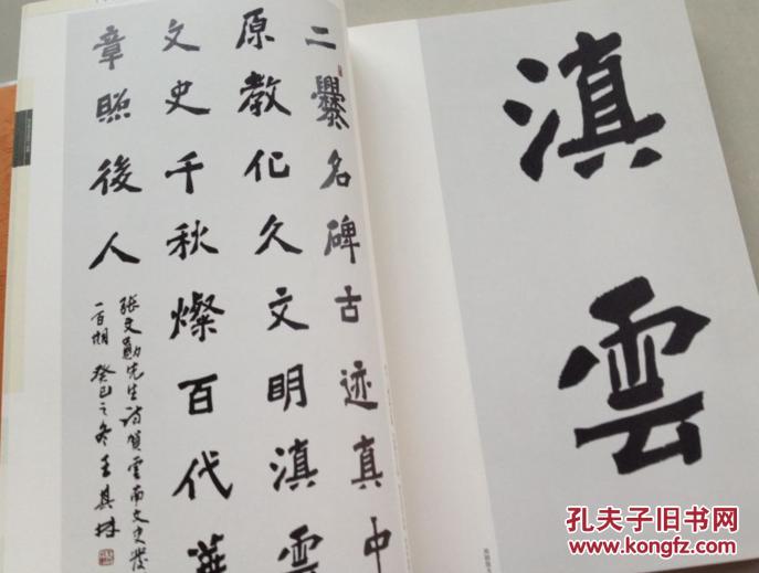 王其林书张文勋诗词三百首