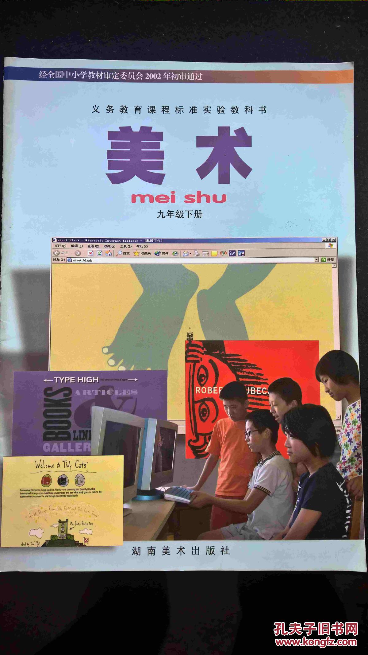 义务教育课程标准实验教科书 美术 九年级下册