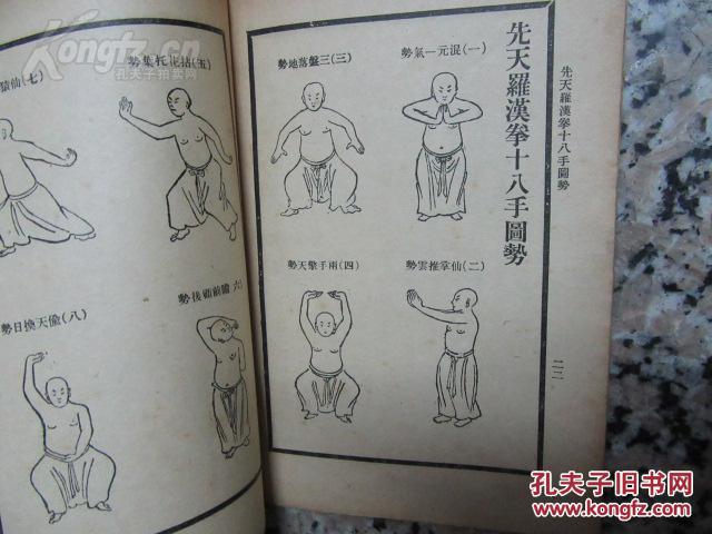 姚氏秘本 《先天罗汉拳十八手图势》