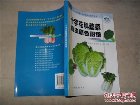 十字花科蔬菜病虫原色图谱