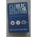 英文原版 公共部门审计：是否物有所值 Public Sector Auditing : Is it Value for Money