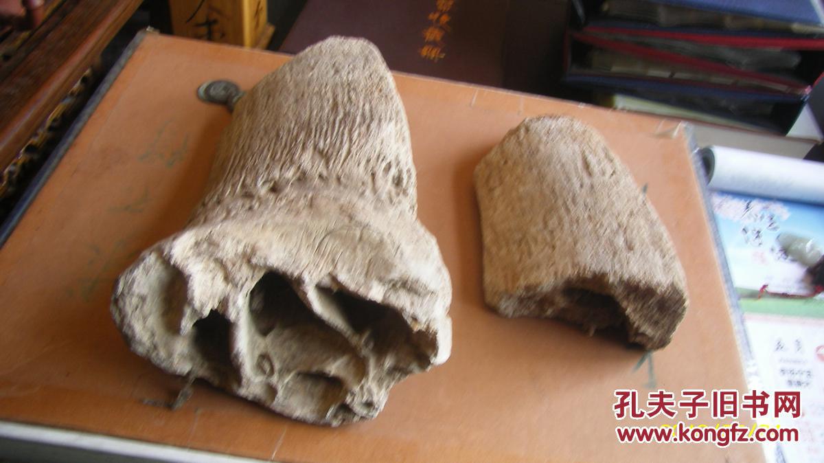 上亿年的龙牙化石两块长33cm做摆件做药材皆可重3斤d小块的卖了只剩