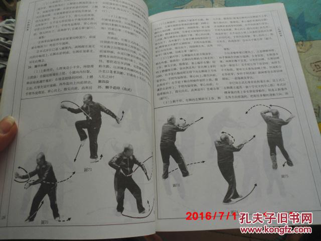 中华武术大观《1》沙国政专辑:八卦狮形掌,形意鸡形拳,武当八仙剑