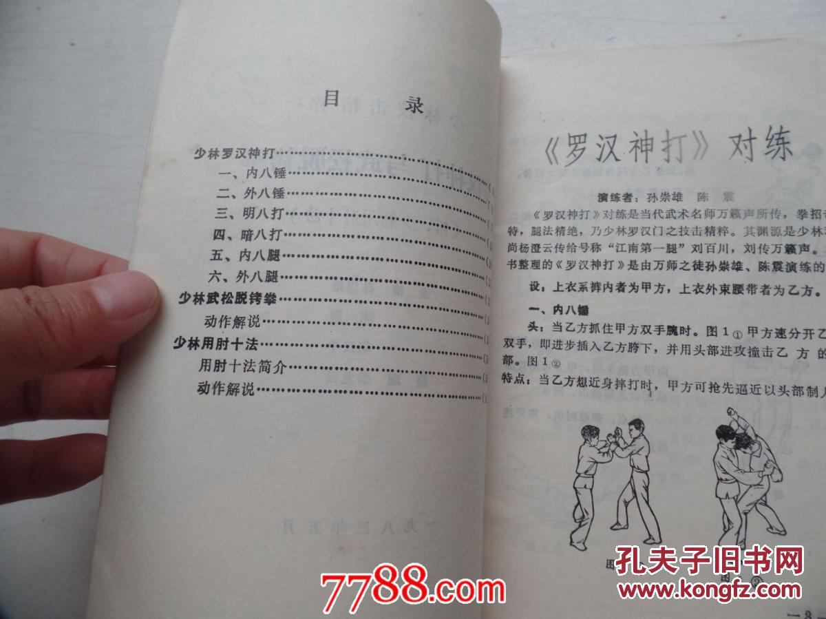 少林技击精粹 罗汉神打与武松脱铐拳