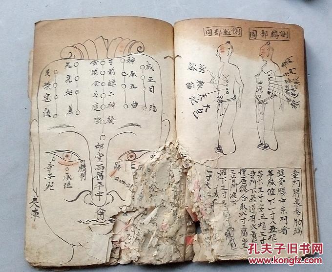 手抄医书附多张手绘图内容看脉法脉歌脉诀诊四时虚实歌论脏腑虚实向经