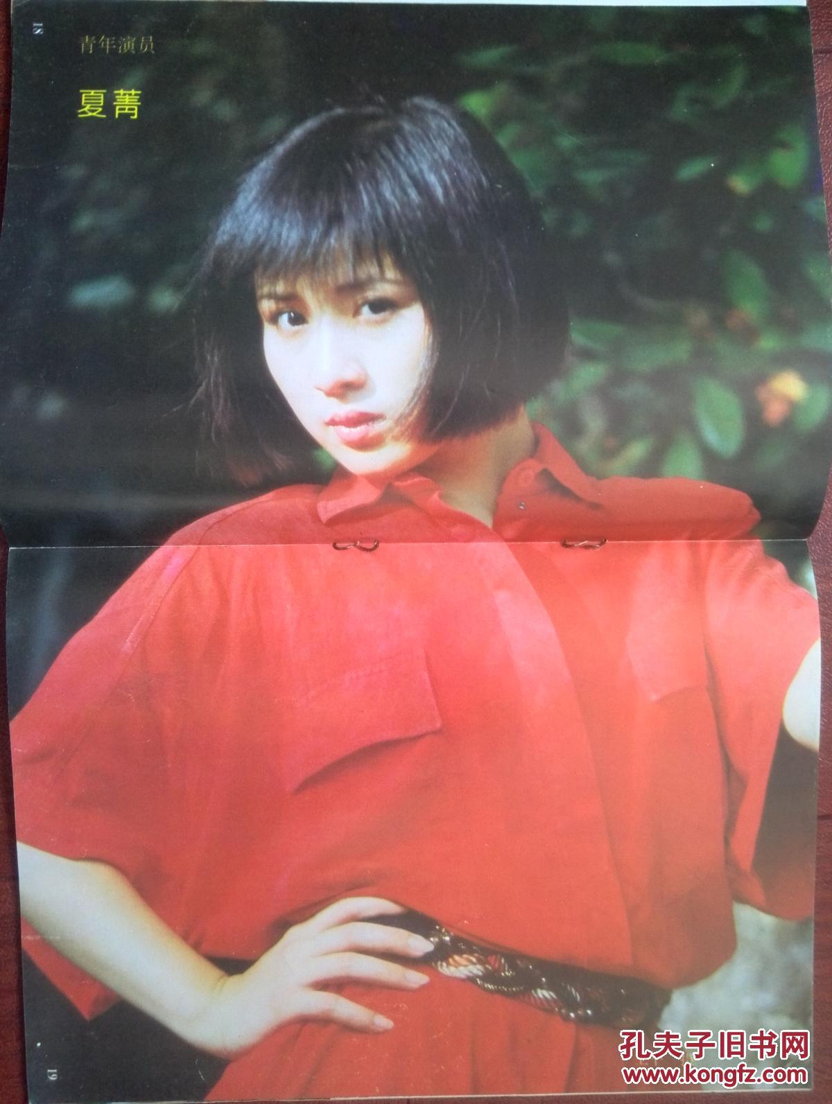 彩版电影明星美女插页海报(单张)夏菁,刘锡明《廉政风暴》