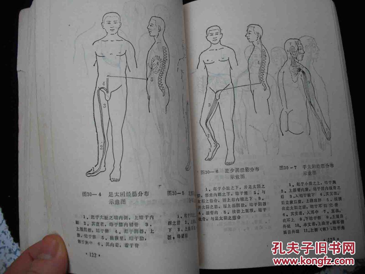 1983年出版的--中医书--【【脏腑经络按摩】】--疾病的按摩及方法